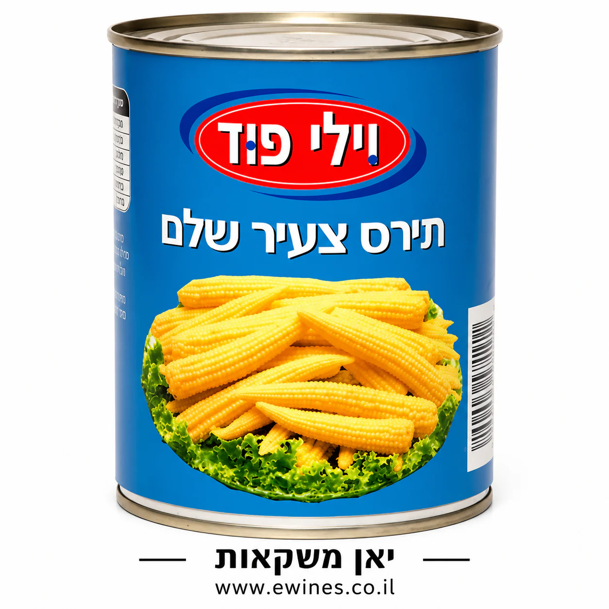 תמונה ממוזערת 1